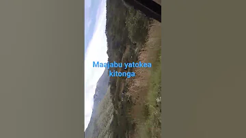 Kitonga Hadi Mikumi 