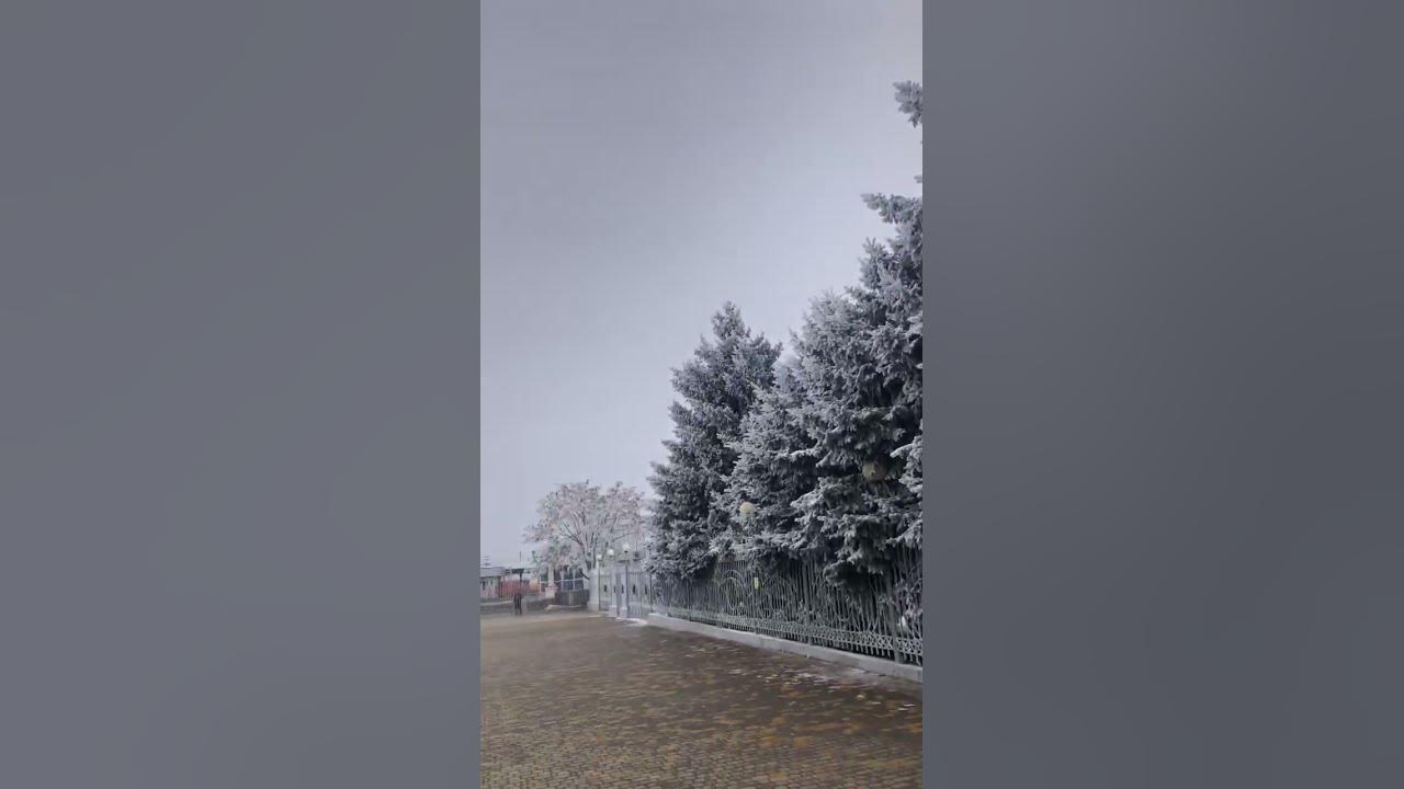 ЖД ВОКЗАЛ МИНЕРАЛЬНЫЕ ВОДЫ. Зима! Дорога в Москву #ведущийкисловодск # ...