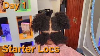 Mastering Starter Locs: 4-Way Interlocking & Crochet Technique Explained