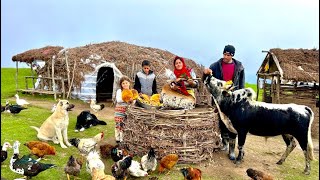 Winter is Here: Frozen Roads, Collecting Firewood & Taking Care of Livestock