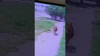 15-04-2023My Accident On Gt Road