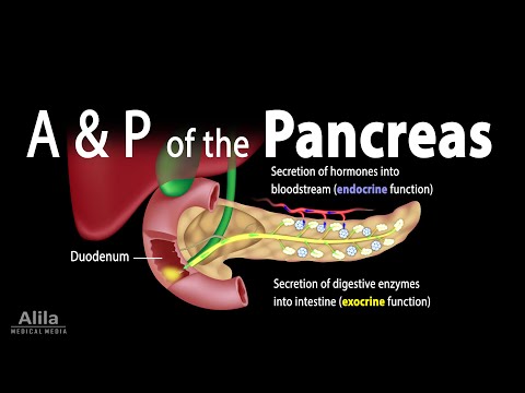 Video: 3 Cara Mendiagnosis Insufisiensi Pankreas Eksokrin