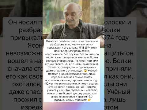 Он стал своим в стае волков #судьба #истории #знаменитости #интересно #люди #интересныефакты