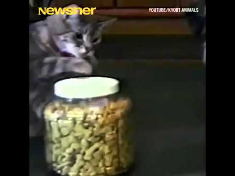 True heart touching friendship videos