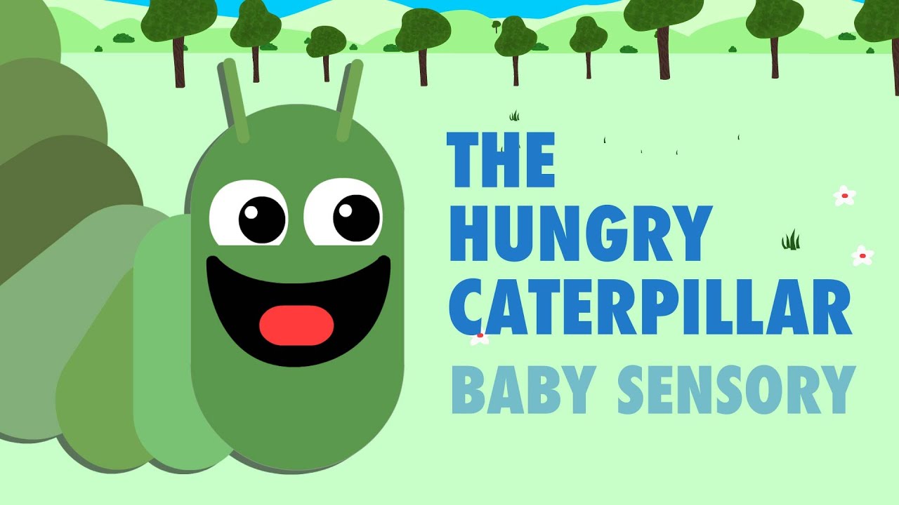 Hungry Caterpillar Nursery Jobs Hungry Caterpillar Nursery Jobs
