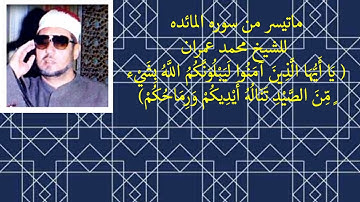 ما تيسر من سوره المائده للشيخ محمد عمران ( يَا أَيُّهَا الَّذِينَ آمَنُوا لَيَبْلُوَنَّكُمُ اللَّهُ)