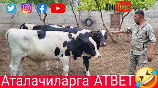 Камазчи Акани сирлари очилди