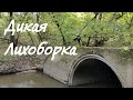 Москва. Лихоборка от Ботаники до Яузы.