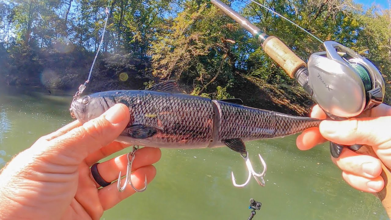 BIG Baits For Shallow River MUSKY! Southern Muskie Fishing! 