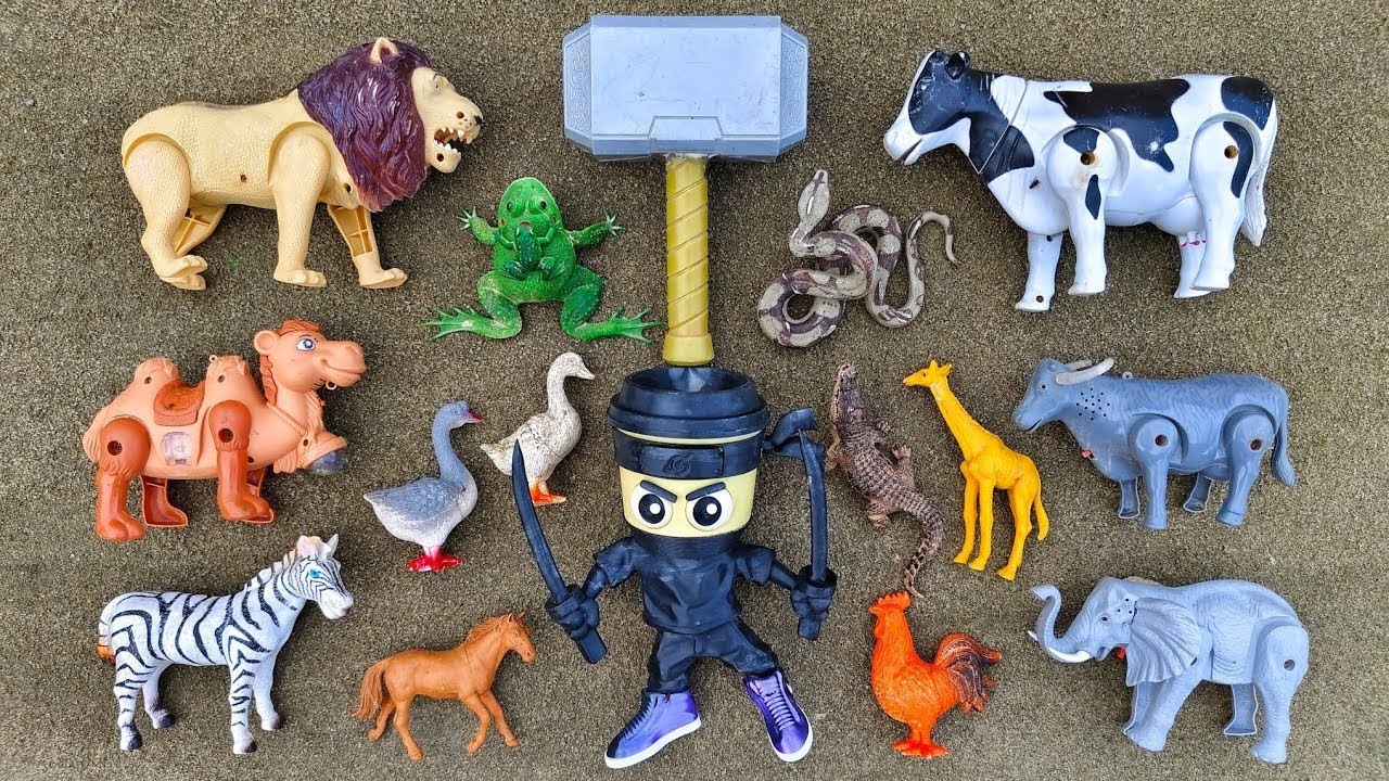 Menemukan hewan sapi, bebek, angsa, ayam, gajah, gorilla, simpanse, singa, unta, buaya, zebra.