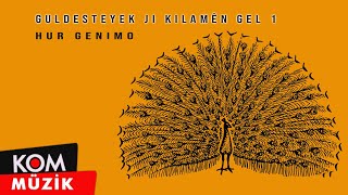 Guldesteyek Ji Kilamên Gel 1 - Hur Genimo  Resimi