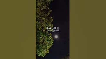 ﴿ ربنَا آتنا فِي الدنيا حسَنه وفِي الآخره ﴾ سوره البقره، عبدالرحمن مسعد #قرآن #ارح_قلبك #قران_كريم