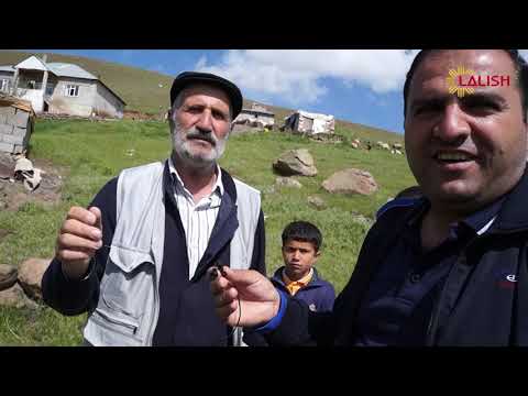 Ware Kal u Bava - Hacerlî