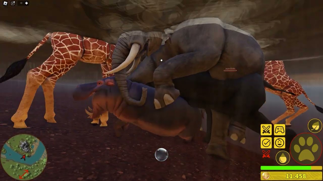 Savannah life | hippopotamus vs elephant