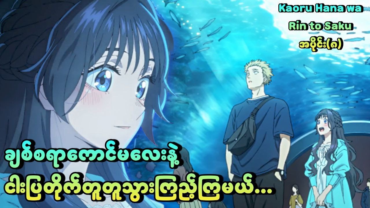ချစ်စရာကောင်မလေးနဲ့ငါးပြတိုက်ကိုငါးခါသွားမယ် | Kaoru Hana wa Rin to Saku Ep-8
