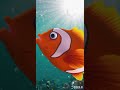 quiet cat 🐈  and fish 🐟 #4kanimation #animatedshorts #babystory #childrensstories #childrenstory