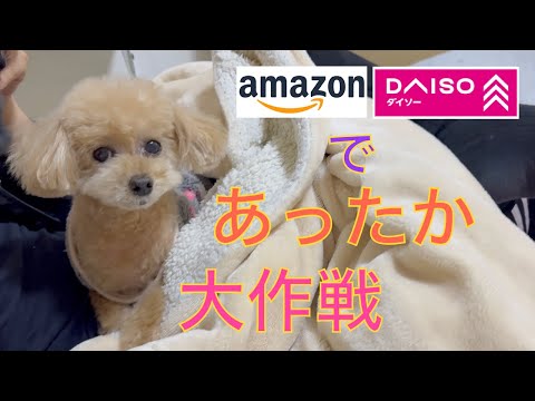 寒〜い家で過ごすトイプードルの暖か大作戦!ダイソーやアマゾンで暖かDIYやってみました