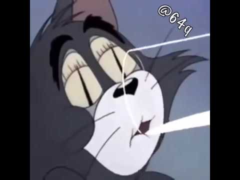 اغنيه مصريه مركبه على توم وجيري 