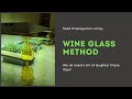 Seed Propagation - Wine Glass Method