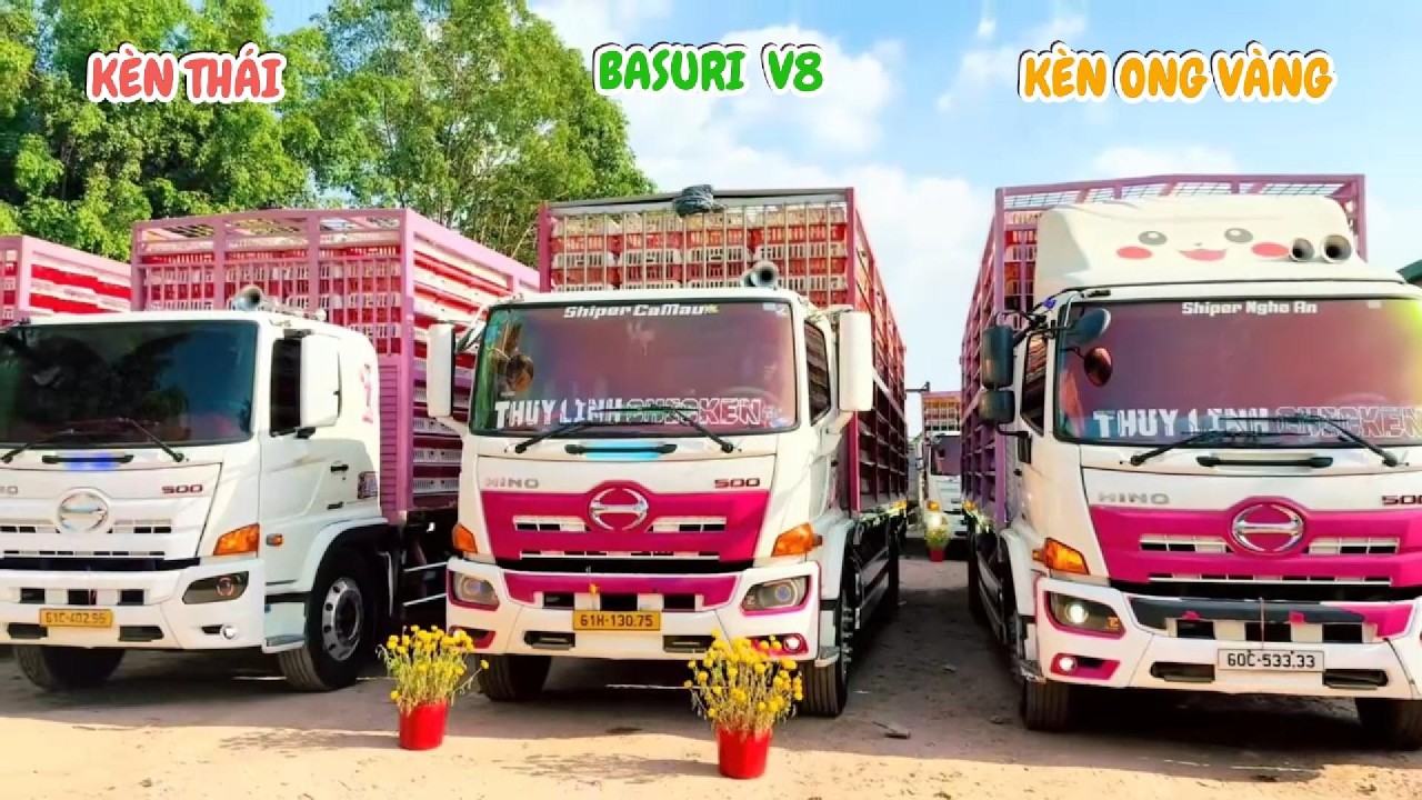 Tổng Hợp Chích Kèn Ong Vàng, Basuri V8, Kèn Thái Độ Cực Đỉnh