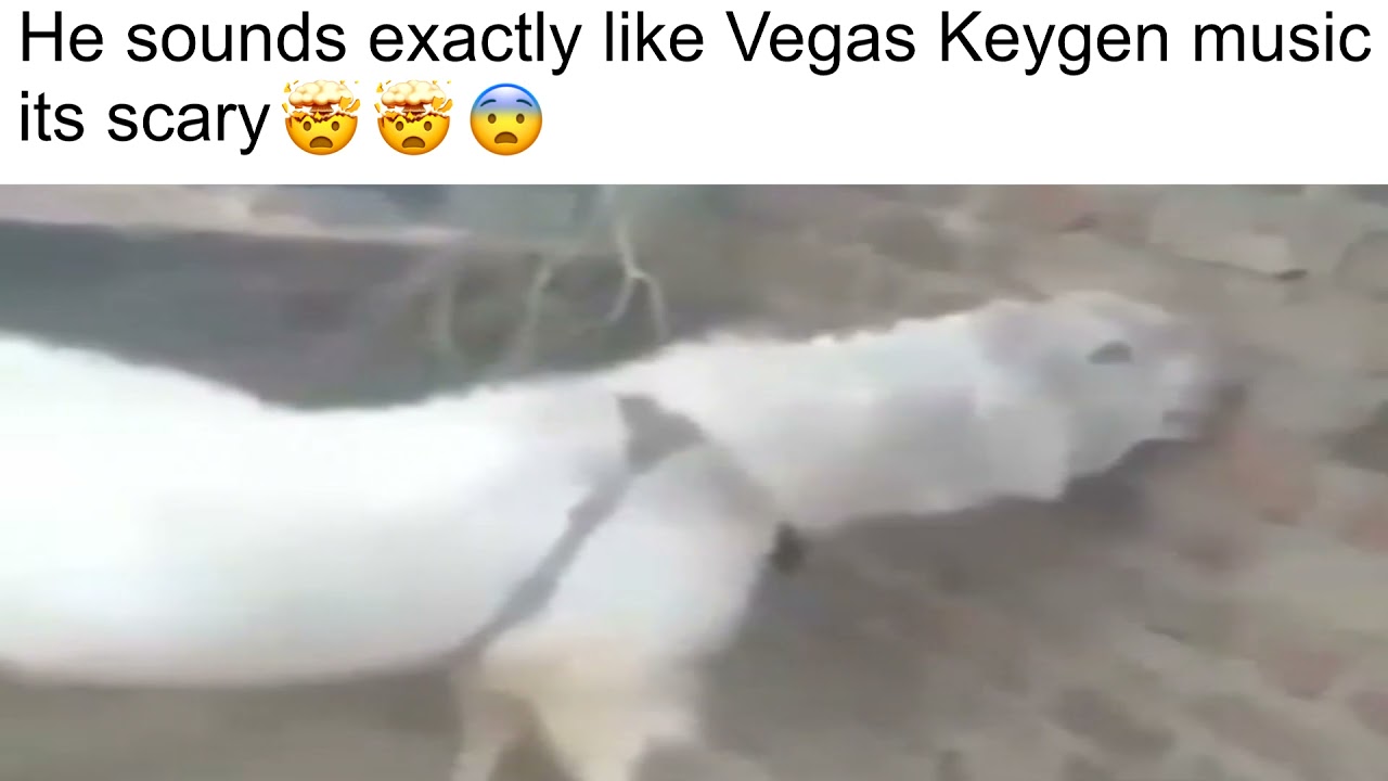 he sounds exactly like unreeeal superhero 3 - YouTube