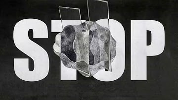 Eliminate Adjacent Slides in Macrodissection with Virtual H&E | ClearStain™