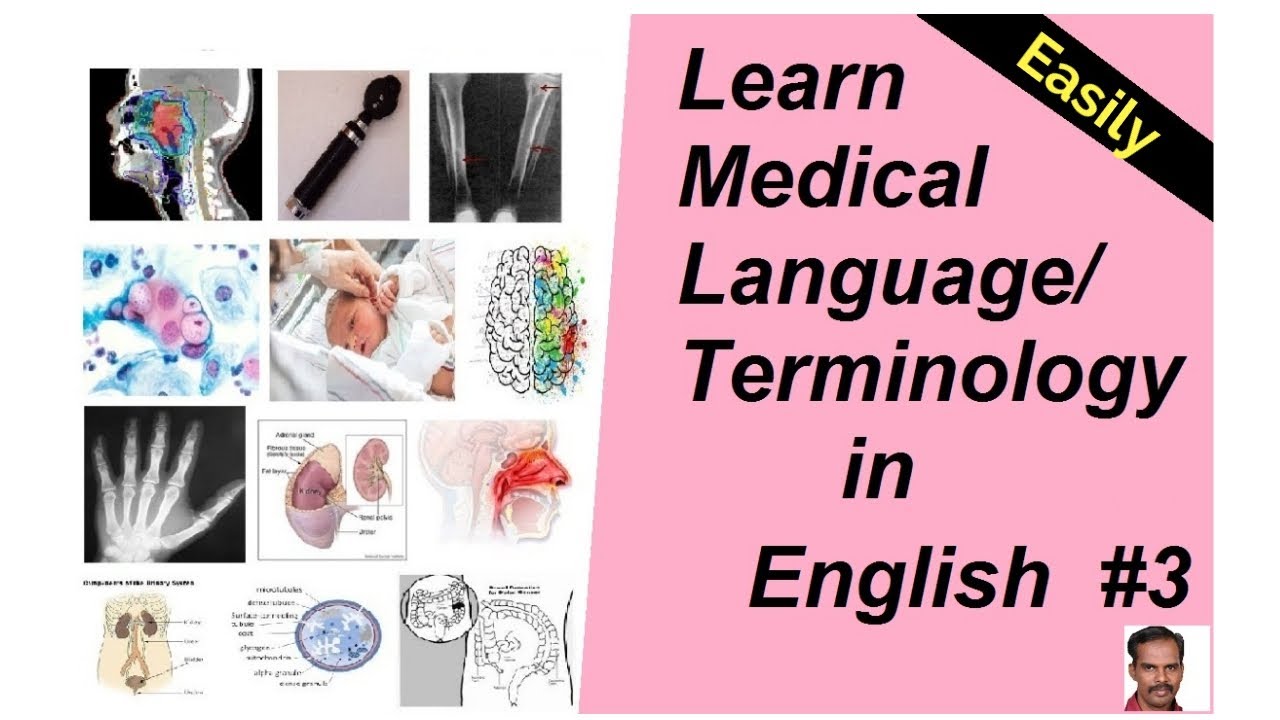 LEARN MEDICAL LANGUAGE/TERMINOLOGY IN ENGLISH Easily 3 YouTube