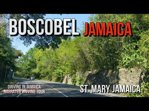 Boscobel Jamaica