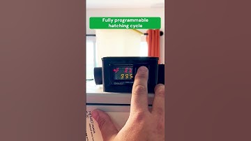 Best Quality Egg Incubators - Hatching Time