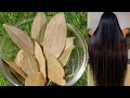 4 दिन में पतले बालों को मोटा,घना लंबा बनाने के लिए जादुई चीज़ How to Grow Hair Fast Naturally.