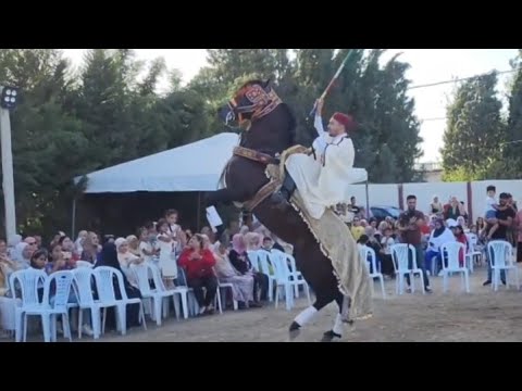 الفرسان والخيل في أفراح البادية التونسية لوحات فلكلورية على أنغام شعبية أصيلة اولاد بالعربي