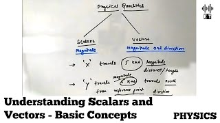 Understanding Scalars and Vectors | A Basic Introduction | Basic Physics