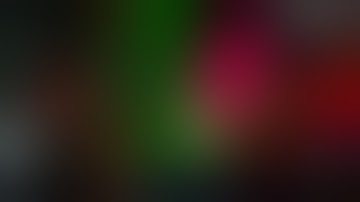 scan vs round 164/500