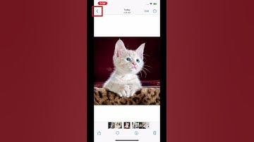iOS 16 Beta New Feature - Copy and Paste Edits for Photos #Shorts