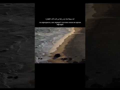صرح ساحلنا