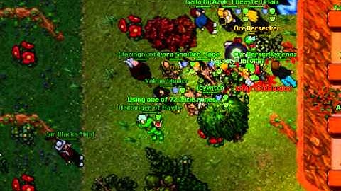 Amera War - Warguild One Vs Teh Warguild part 2