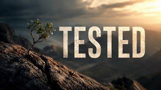 2 - Tested - Pass or Fail?