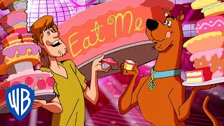 Scooby-Doo! | Let's Celebrate 🥳  | @WB Kids
