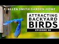 How to Attract Birds | Backyard Wildlife Habitat: Garden Home VLOG (2019)