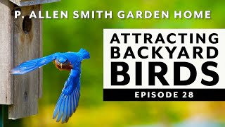 How to Attract Birds | Backyard Wildlife Habitat: Garden Home VLOG (2019)