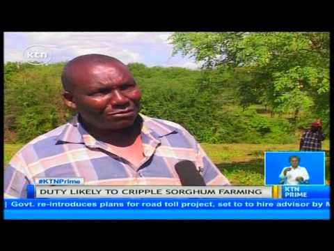 Sorghum farmers demand national treasury to review the excise duty imposed on keg beer