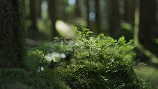 Amazing Mature Vibes