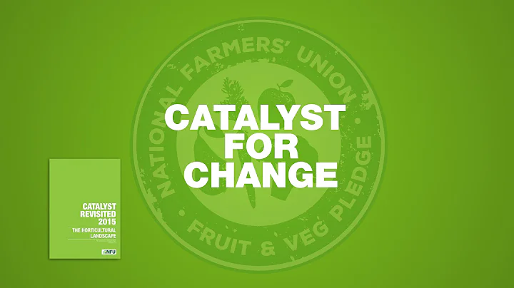Catalyst For Change: Fruit and Veg Supply Chain - DayDayNews