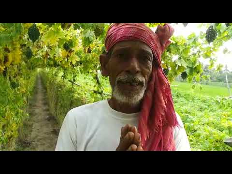 Shasibhusan Pramanik, an Organic Farmer Expressed his Gratitude to Mukti