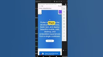 Display Web Content using Flutter InAppWebView ! 🔥 #flutter #webview