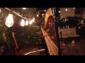 HOLOCENE by BON IVER - On Electroacoustic Harp | Lara Somogyi