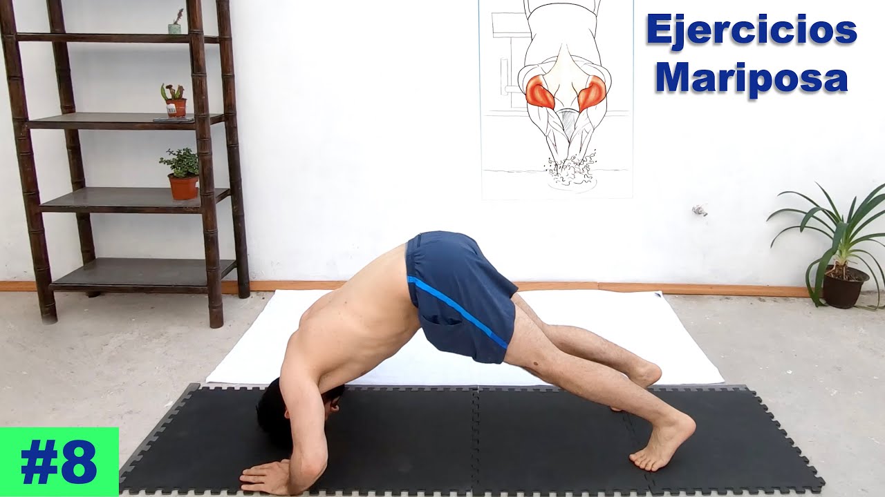 Ejericios de nado Mariposa fuera del agua. Episodio #8