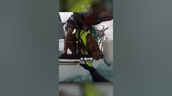 미국 바다에서 조난 당하면 벌어지는 일