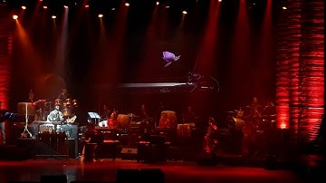 Độc tấu đàn bầu - Độc huyền cầm - NSUT : Trường Giang