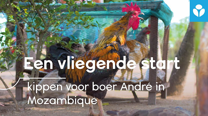 Geef een vliegende start aan boeren als André